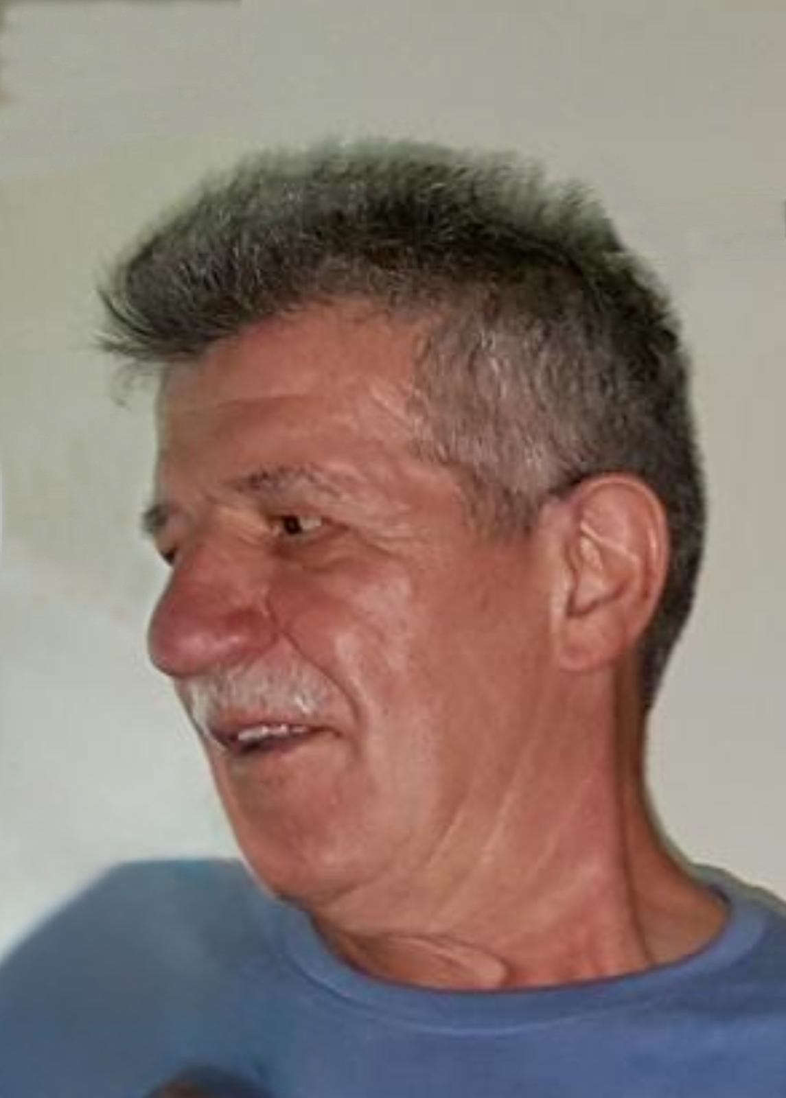 Johann Sniedl