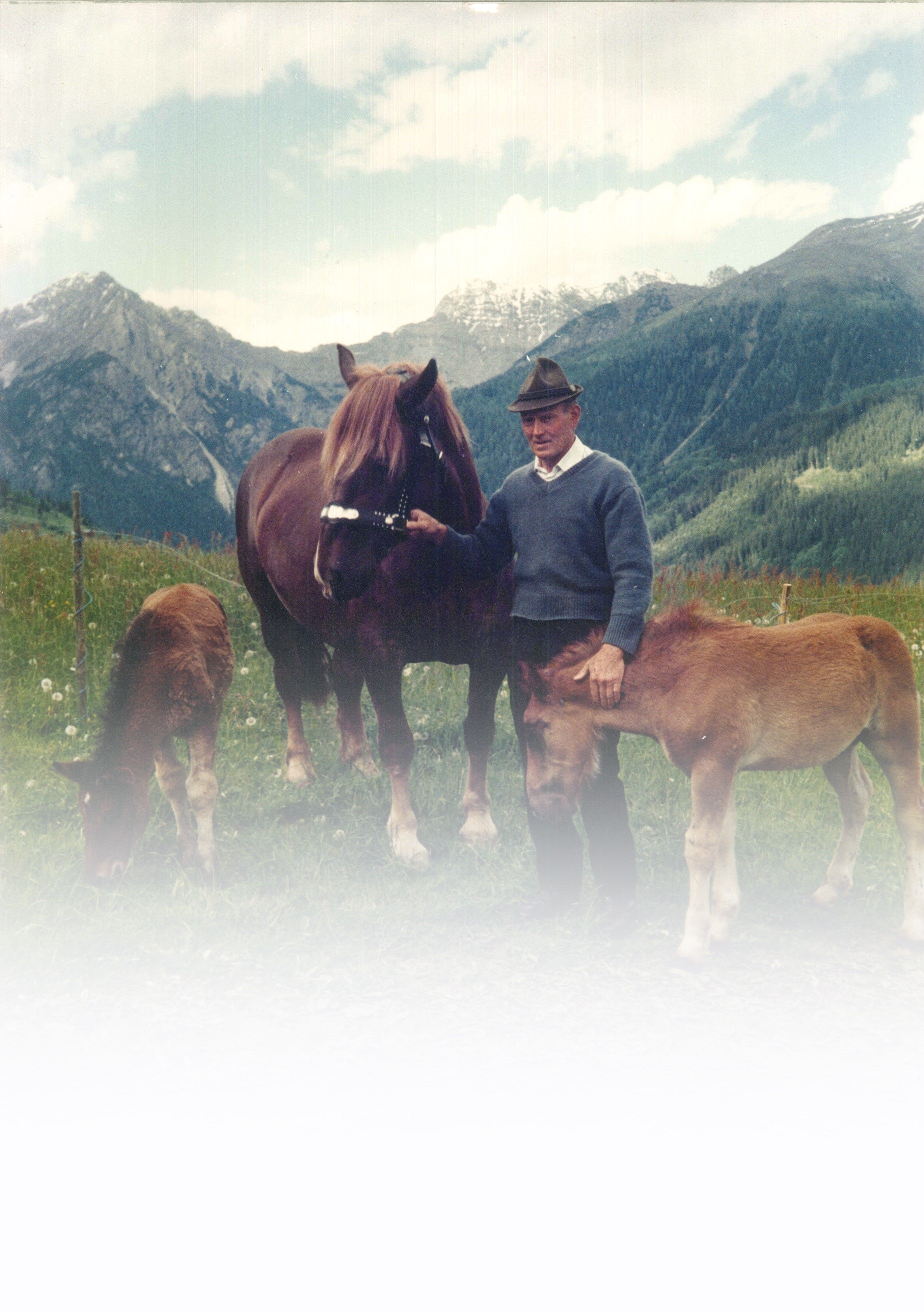 Josef Oberguggenberger