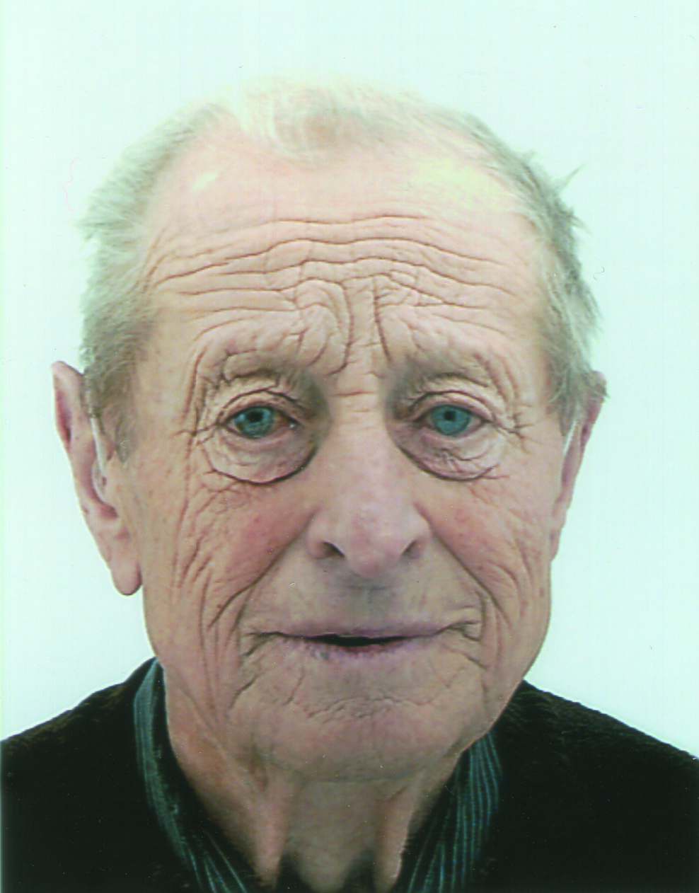 Alois Hemmelmayer