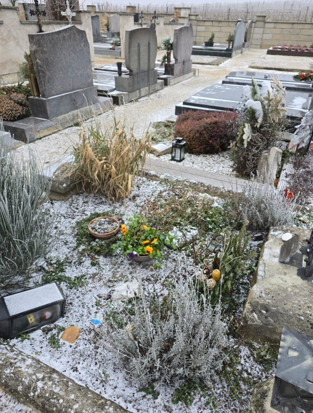 Blumen für Jörg