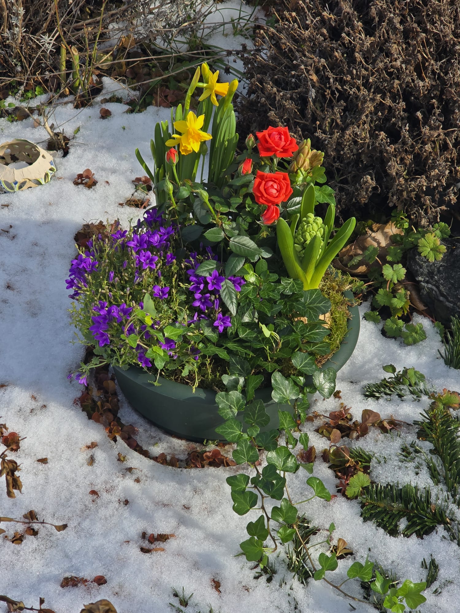 Blumen für Jörg