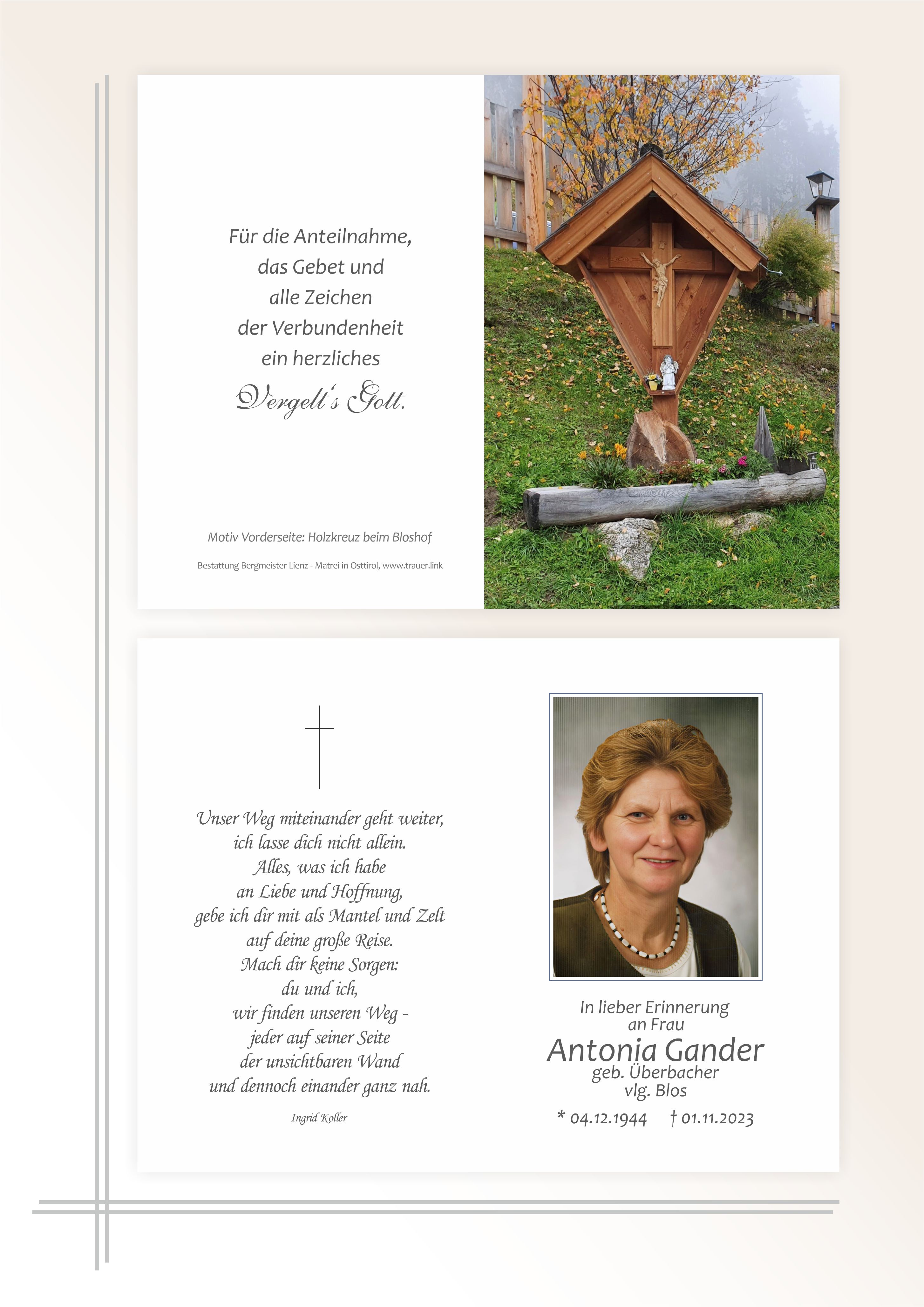 Antonia Gander