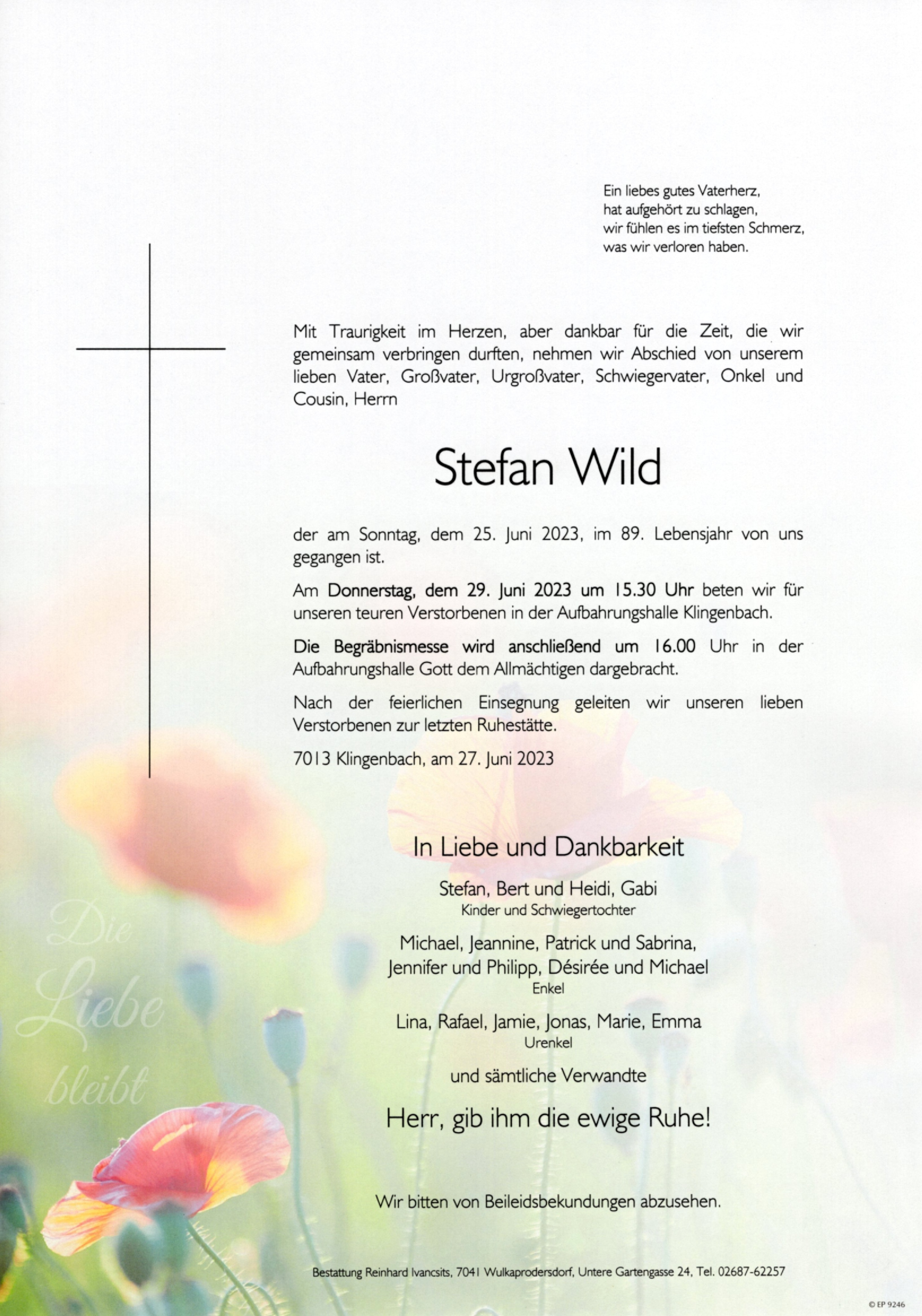 Traueranzeige von Stefan Wild