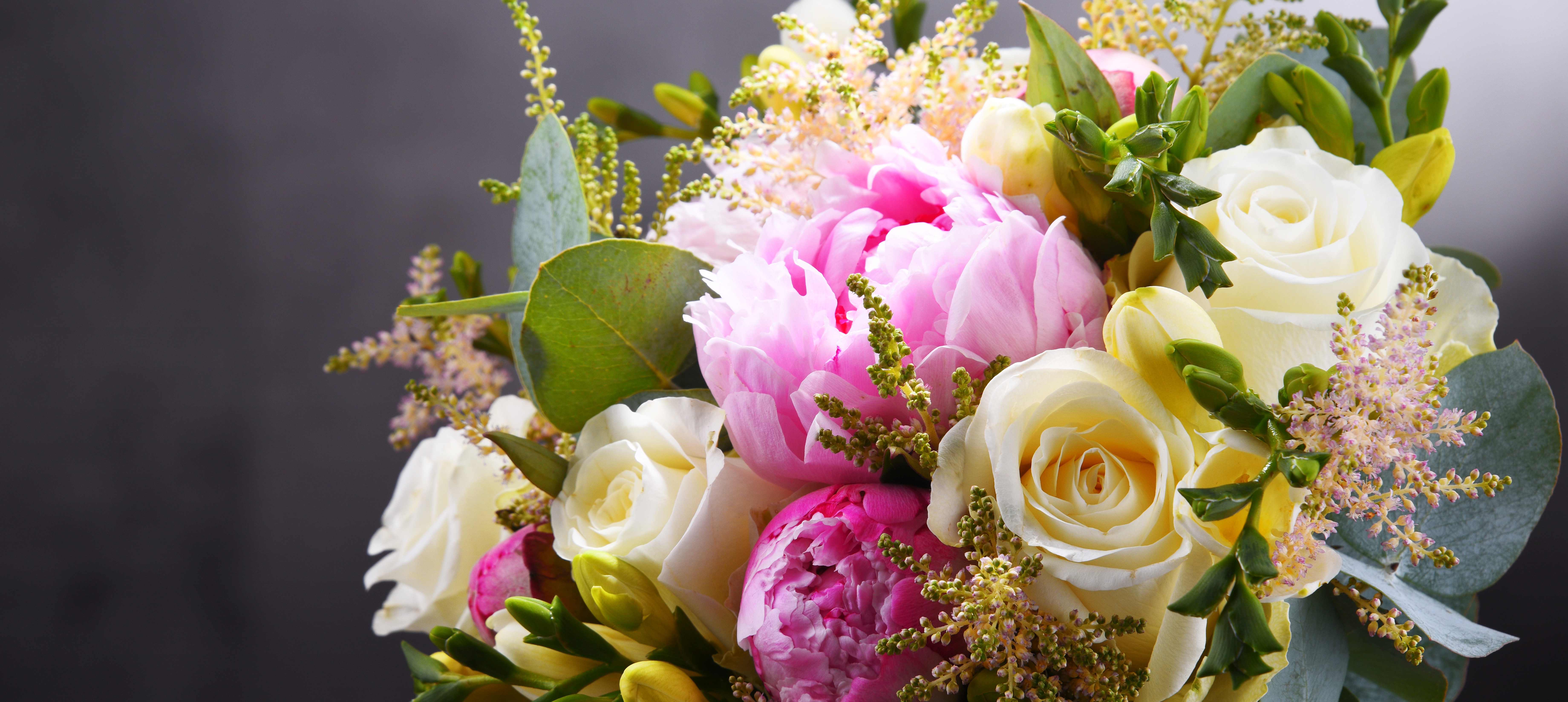 Gärtnerei Blumen Schilcher – Titelbild